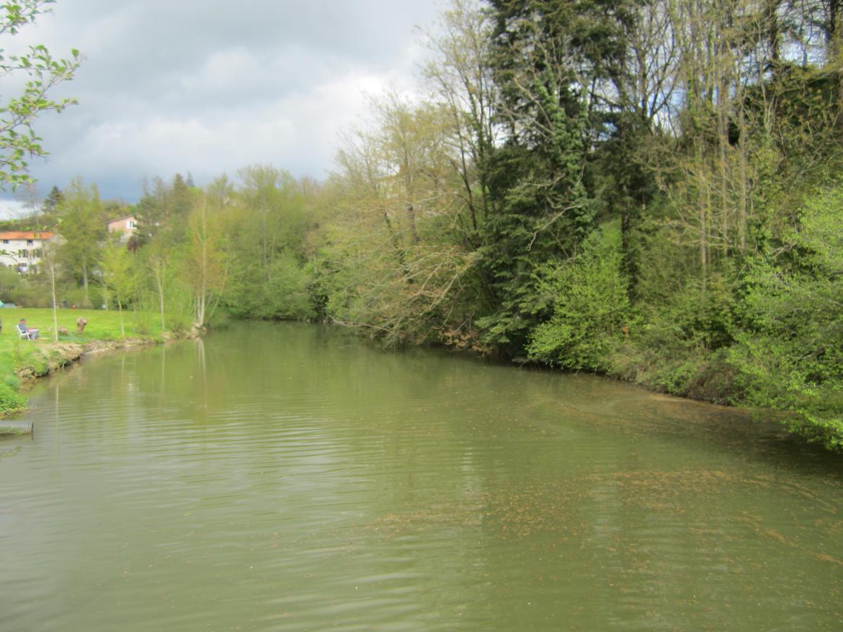 Auberge De Maitre Pannetier Vouvant Экстерьер фото